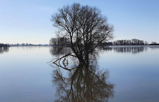 Holiday Home in Hattemerbroek With Smart TV - Photo 38