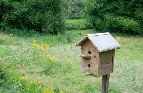 Chalet Sequoia - Spa et Sauna - Foto 17
