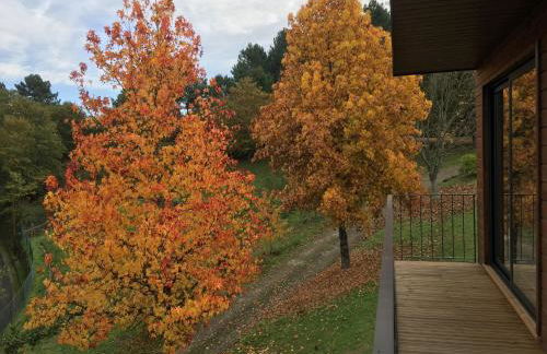 Quinta de Silharezes, Lda - Foto 47