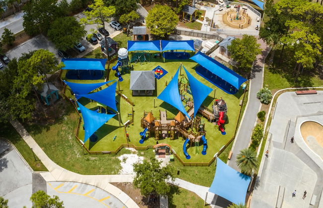 Paradise Palm - Foto 39