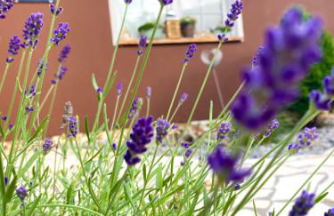 Mechlers Stuben - Foto 25