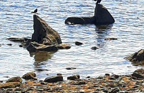 Firthview House - Foto 47