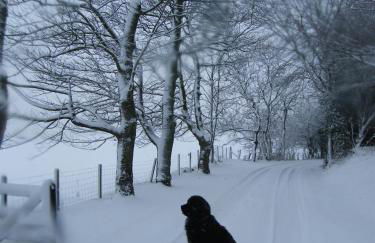 Arden Country House - Foto 16