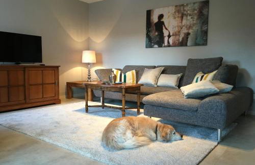 Moselschön Das Ferienhaus - Foto 19