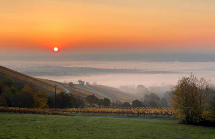 BALTHASAR RESS Guesthouse am Rebhang im Rheingau - Foto 27