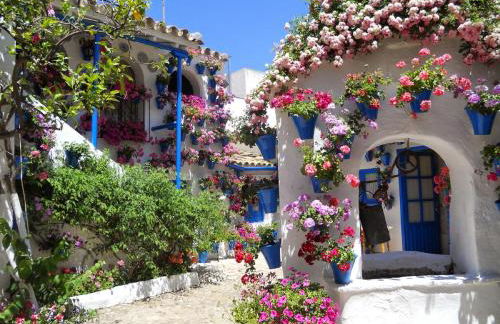 Apartamento Patios de San Lorenzo - Foto 29