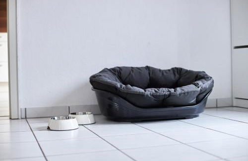 fewo-elzerhof - Foto 20