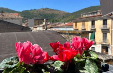 Nonna Maria - Foto 19