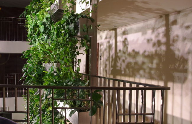 Mana Suites & Sea SPA - Photo 74