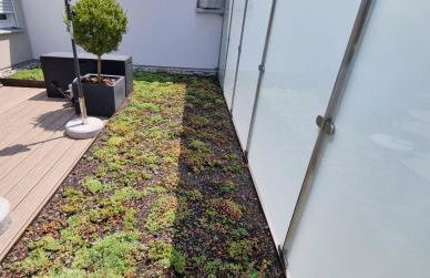 Traumhafte neue Dachterrassenwohnung am Soyener See - Foto 36