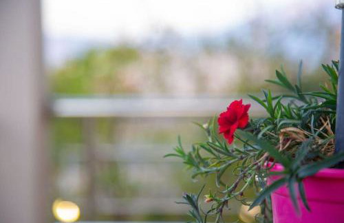 Fou's luxury apartment - Foto 46