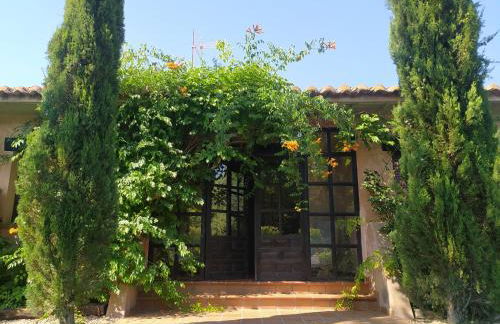 Casa rural El Pitañar - Foto 18