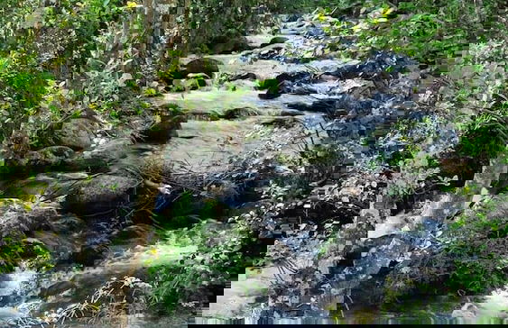 Aguas del Venero - Photo 52