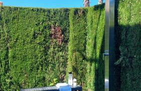 OLIVA NOVA, playa, jardín, piscina, golf, MET, IDEAL FAMILIAS - Photo 22