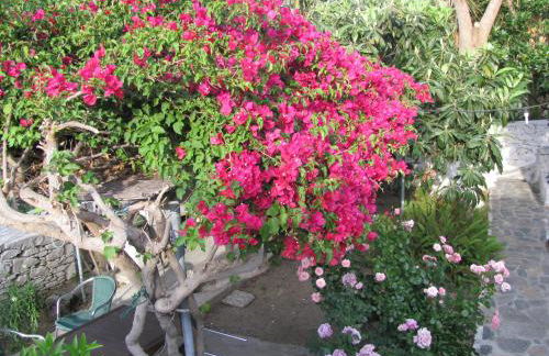 Anna Studios - Foto 37