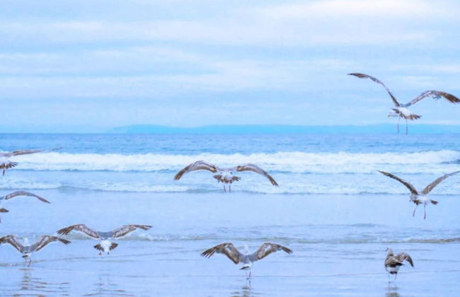 Beachside Escape w/ Terrace - Foto 28