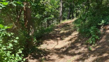 Ferienwohnung mit Ausblick in Wimmelburg - Foto 4