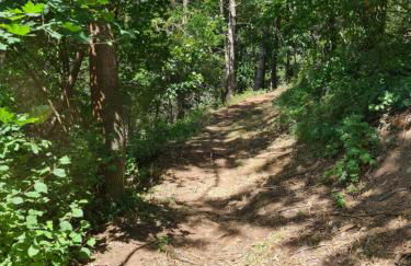 Ferienwohnung mit Ausblick in Wimmelburg - Foto 4