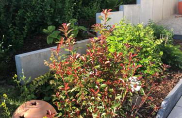 Angekommen - Foto 27