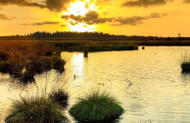 Spacious Holiday Home in Chodes With Sauna - Foto 65