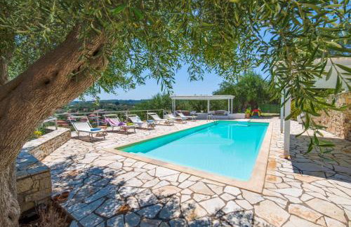 Bougainvillea - Foto 14