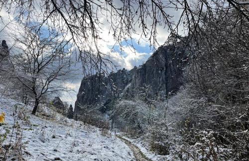 Leśna 6 - House with a garden - Foto 53