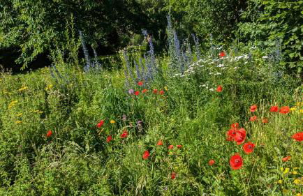 Ferienhaus Möller 4 Personen Waldeck Edersee - Foto 2