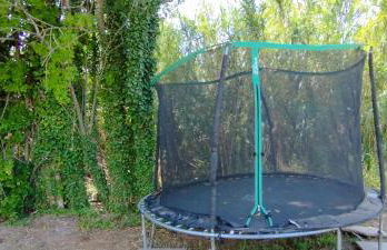 Mas en Provence - Photo 36