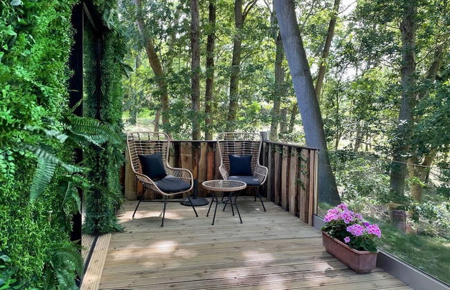 Luxury Cabin in the Woods - Foto 14