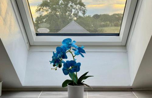 15 Off Last Min Business Leisure WiFi Parking Rugby - Foto 40