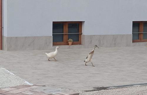 Villa del Parco - Photo 27