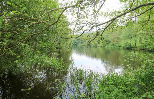 Harcombe House Bungalow 1 - Foto 62