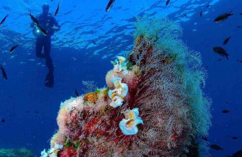 Bonito Apartamento en la Manga con piscina entre dos mares - Foto 29