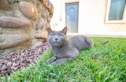 Agriturismo Corte Albarel - Foto 41