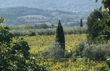 Agriturismo San Jacopo - Foto 59