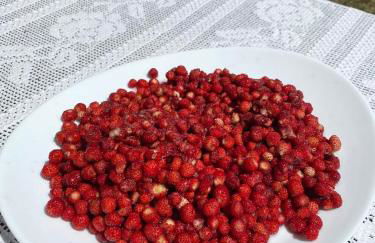 Casa de Piedra Vistas & Relax - Foto 17