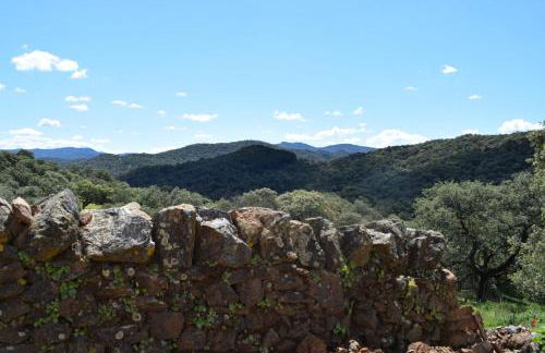 Finca Bravo - Foto 44