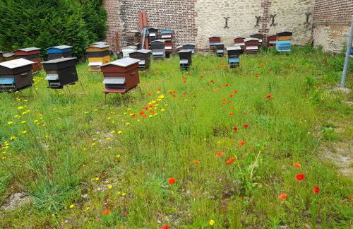 Studio Danton - Foto 3