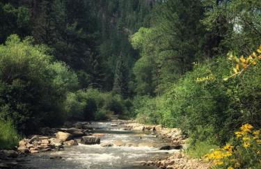 Cozy Rustic Cabin with Riverside Patio on the Pecos River – Pecos, New Mexico - Foto 4