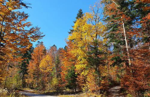 Starry Laz mountain house - Foto 39