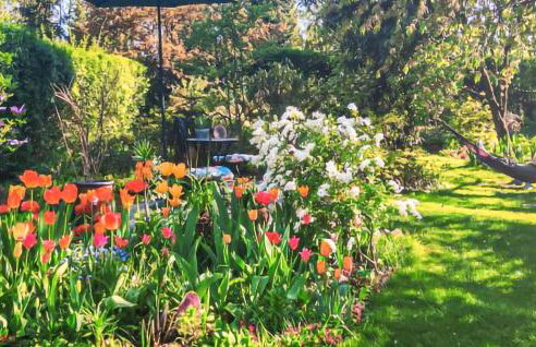 Gorgeous Apartment In Sobótka With Wifi - Foto 8