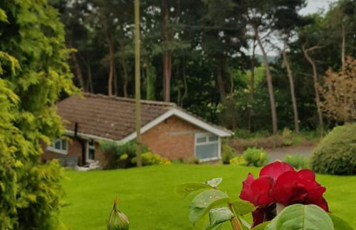 Chadwich Heights - Foto 18