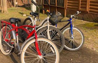 Knotty but Nice-sleeps 6-one minute to lake! - Foto 38