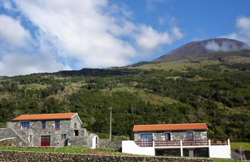 Melo's Place - Photo 36