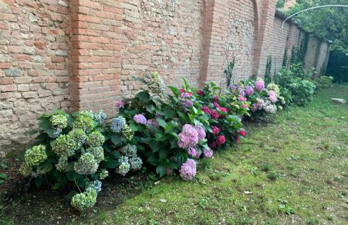 Secret Garden and Cozy Flat - Photo 19