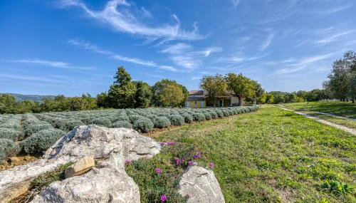 Villa Stancija Klis - Foto 2, Garden, Garden view