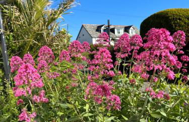 The Cottage St Kew - Foto 21