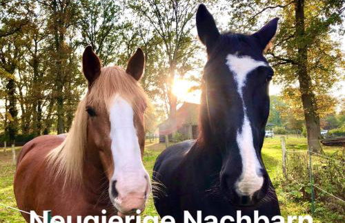 Diershof Walsrode - Foto 20