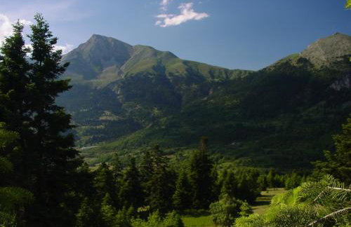 Petrino Rodo - Foto 20