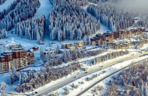 "Montagne Station Prapoutel" Vue Panoramique - Foto 23